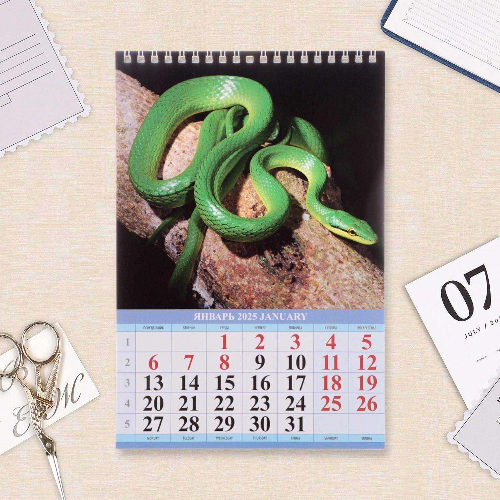 Календарь настенный 2025 год, на пружине без ригеля «Символ Года» 17×25 см
