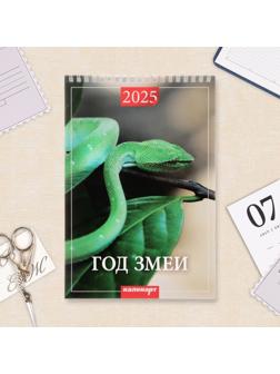Календарь настенный 2025 год, на пружине без ригеля «Символ Года» 17×25 см