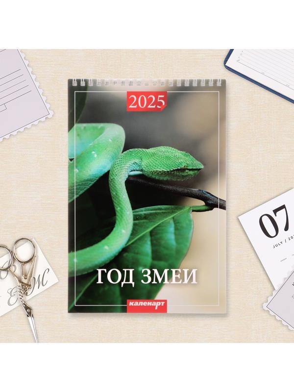 Календарь настенный 2025 год, на пружине без ригеля «Символ Года» 17×25 см