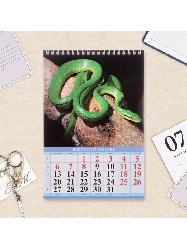 Календарь настенный 2025 год, на пружине без ригеля «Символ Года» 17×25 см