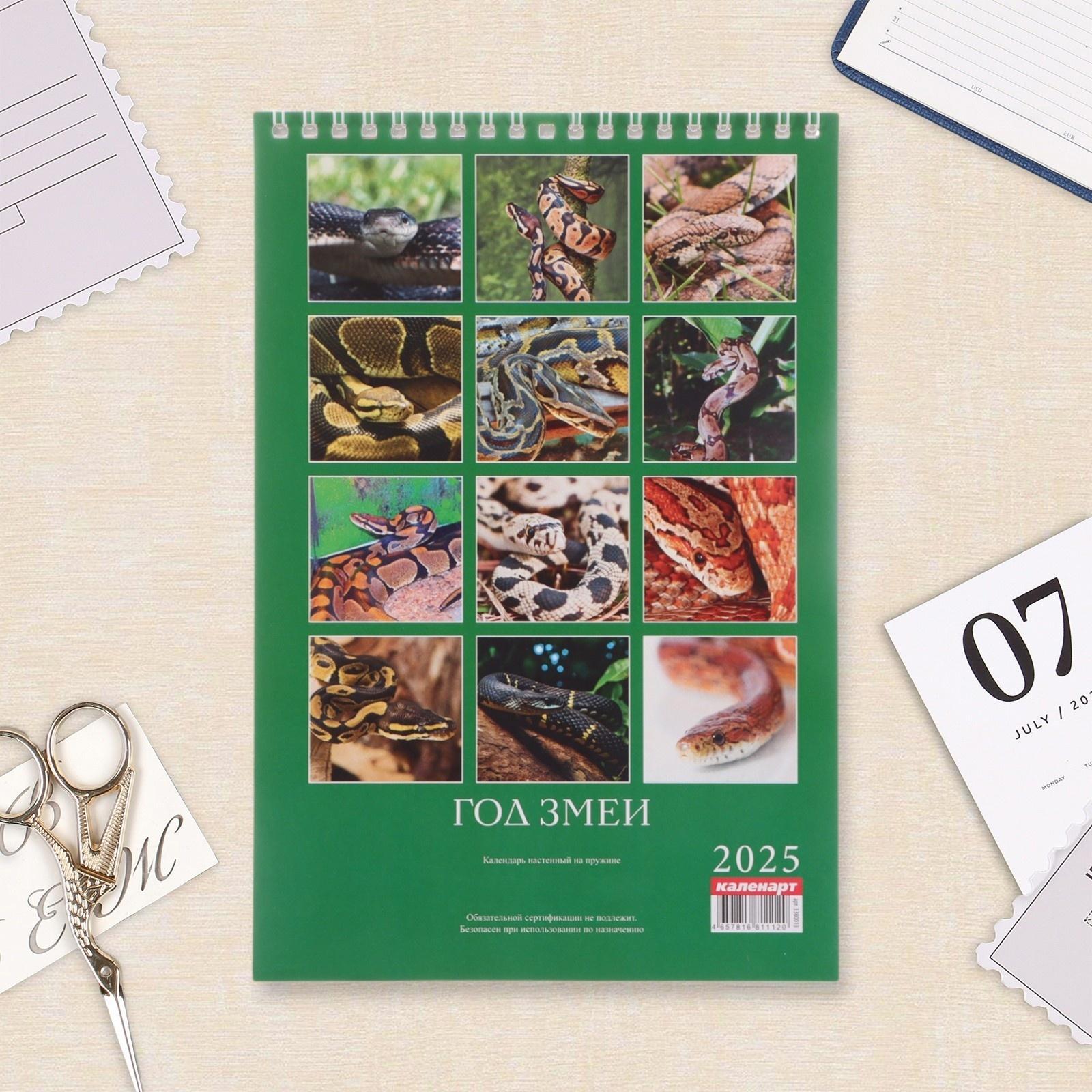 Календарь настенный 2025 год, на пружине без ригеля «Символ Года» 17×25 см