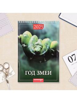 Календарь настенный 2025 год, на пружине без ригеля «Символ Года» 17×25 см