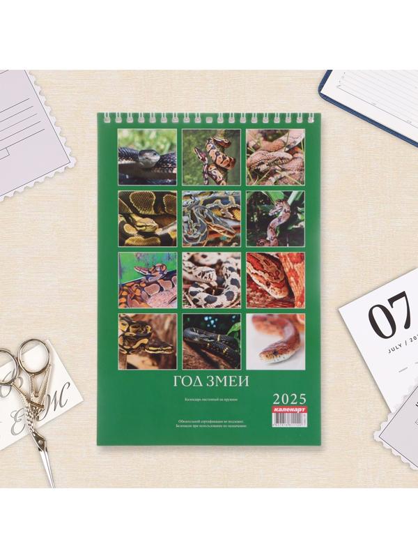 Календарь настенный 2025 год, на пружине без ригеля «Символ Года» 17×25 см