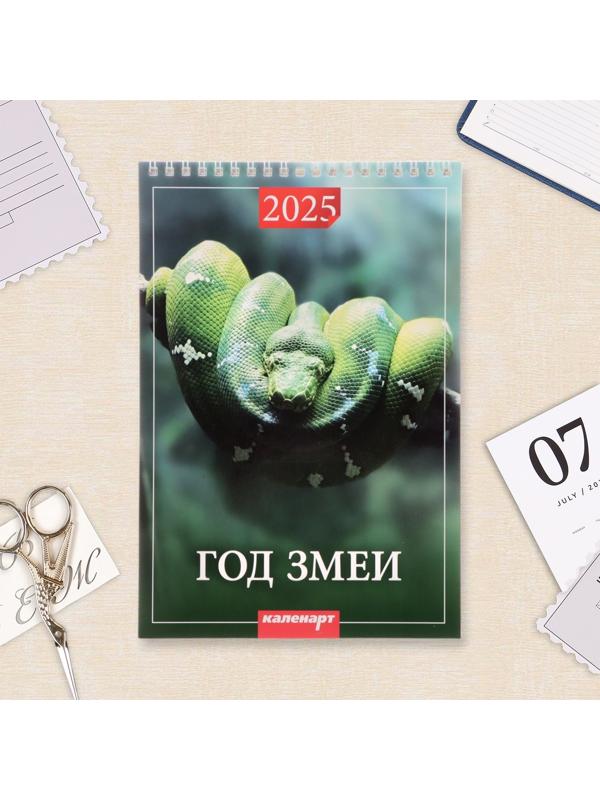 Календарь настенный 2025 год, на пружине без ригеля «Символ Года» 17×25 см