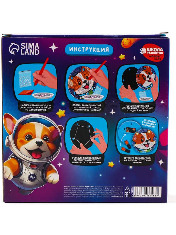 Ночник своими руками. Алмазная мозаика для детей на ночнике «Корги», 15×15 см, набор для творчества