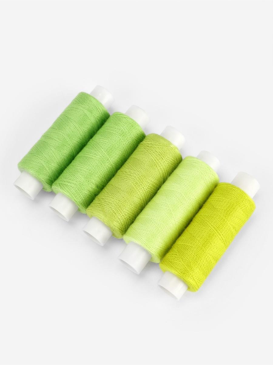 Набор ниток «Лаймовый пирог», 40/2, 200 м, 5 шт., разноцветный