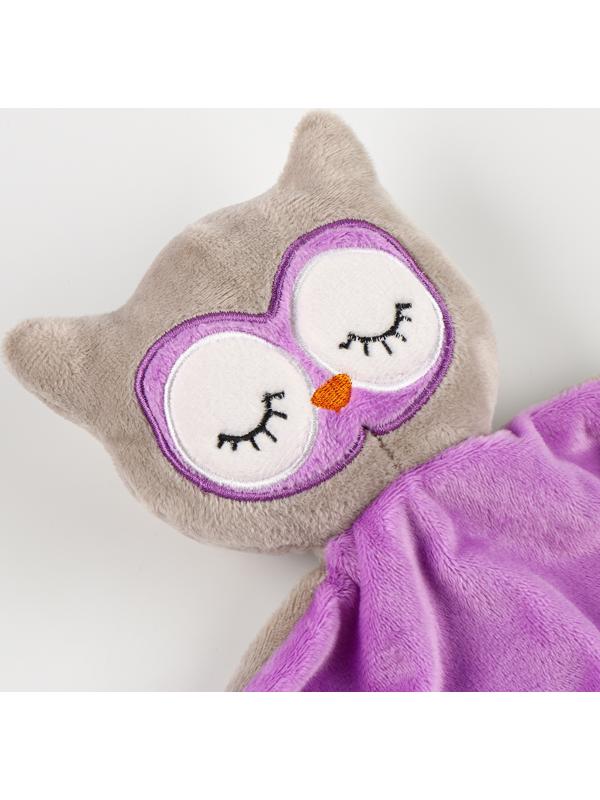 Набор подарочный: Комфортер 27 см + плед 71х125 см, «Сова»