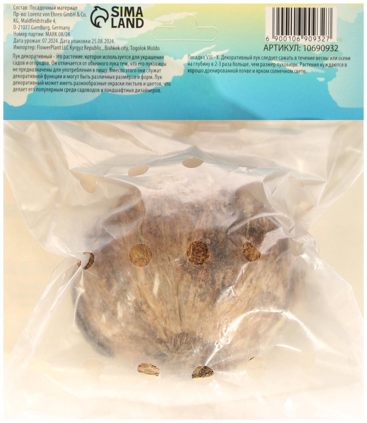 Аллиум лук декоративный Амбассадор, р-р 24/28, 1 шт, Весна 2025