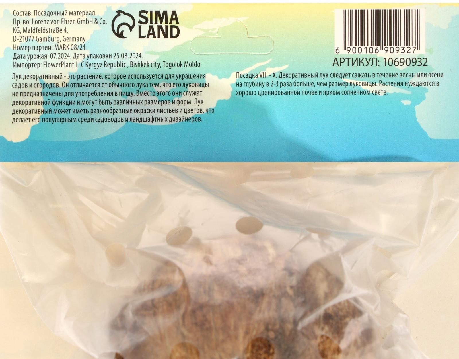 Аллиум лук декоративный Амбассадор, р-р 24/28, 1 шт, Весна 2025