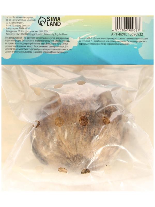 Аллиум лук декоративный Амбассадор, р-р 24/28, 1 шт, Весна 2025