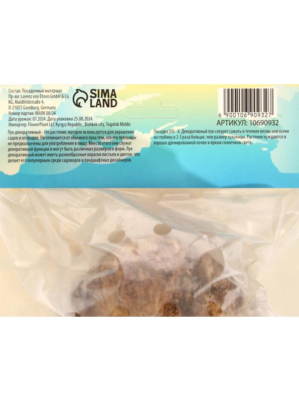 Аллиум лук декоративный Амбассадор, р-р 24/28, 1 шт, Весна 2025