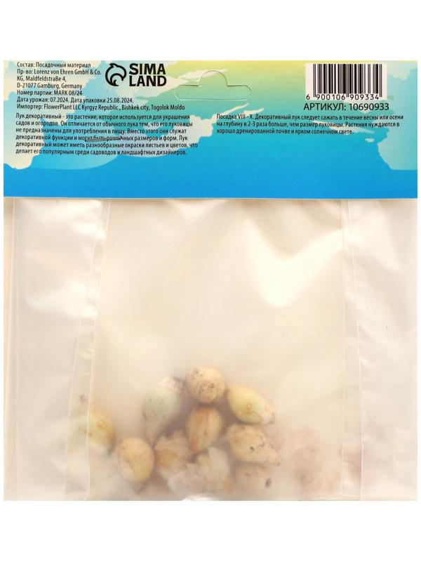 Аллиум лук декоративный Азуреум (Керулеум), р-р 5/+, 10 шт, Весна 2025