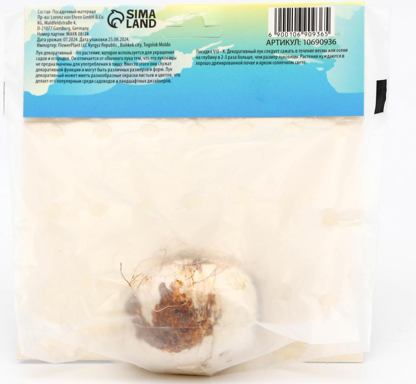 Аллиум лук декоративный Гладиатор, р-р 18/20, 1 шт, Весна 2025