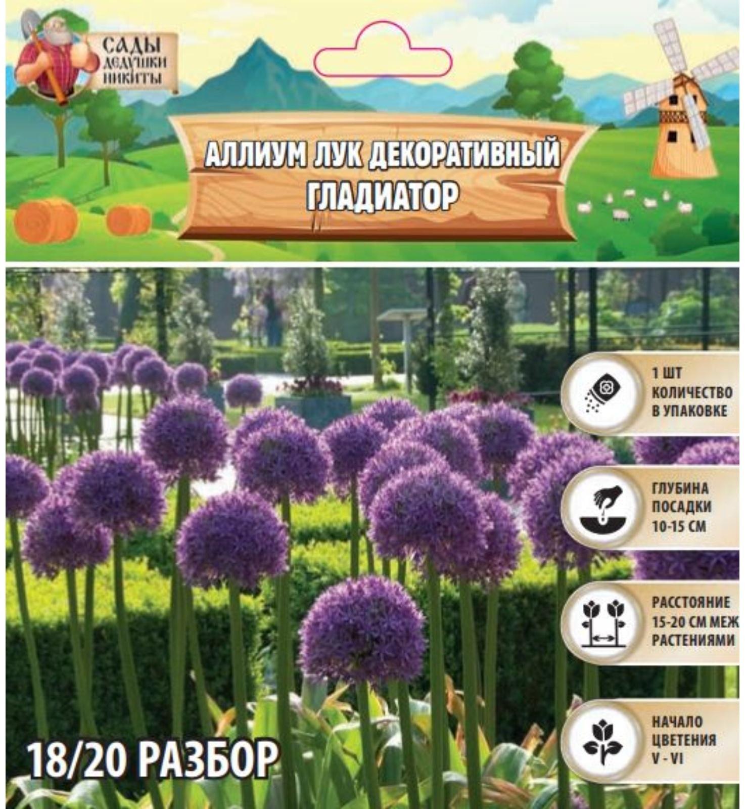 Аллиум лук декоративный Гладиатор, р-р 18/20, 1 шт, Весна 2025