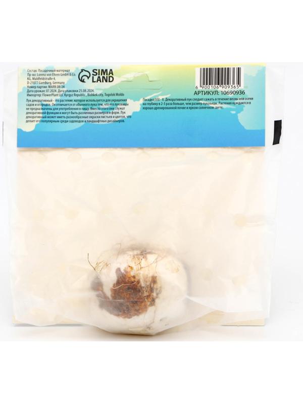 Аллиум лук декоративный Гладиатор, р-р 18/20, 1 шт, Весна 2025