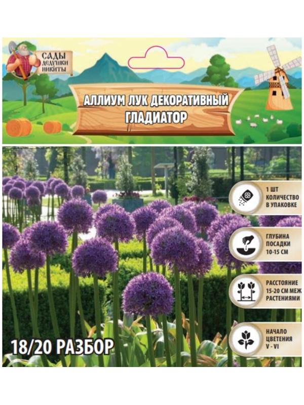 Аллиум лук декоративный Гладиатор, р-р 18/20, 1 шт, Весна 2025