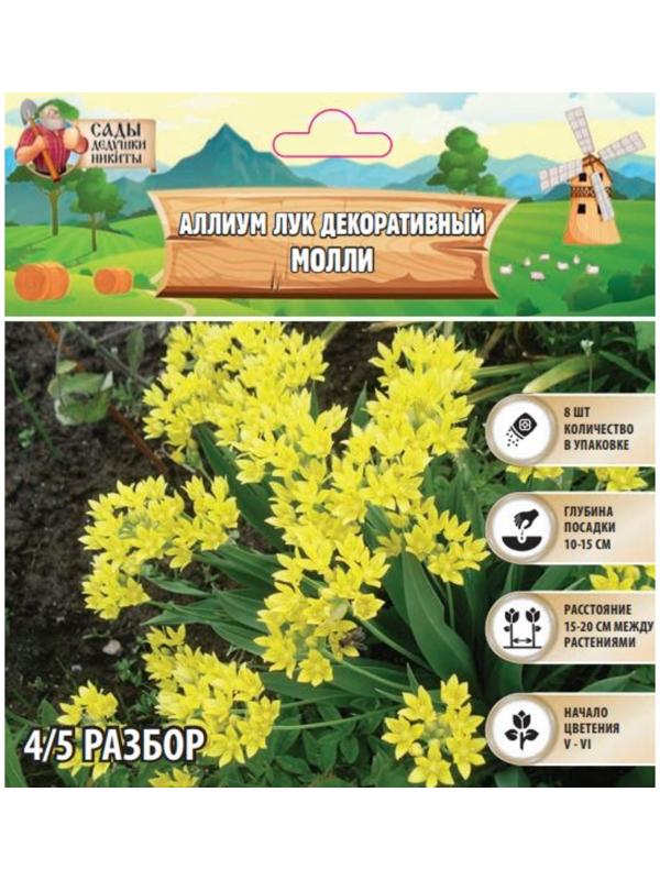 Аллиум лук декоративный Молли, р-р 4/5, 8 шт, Весна 2025