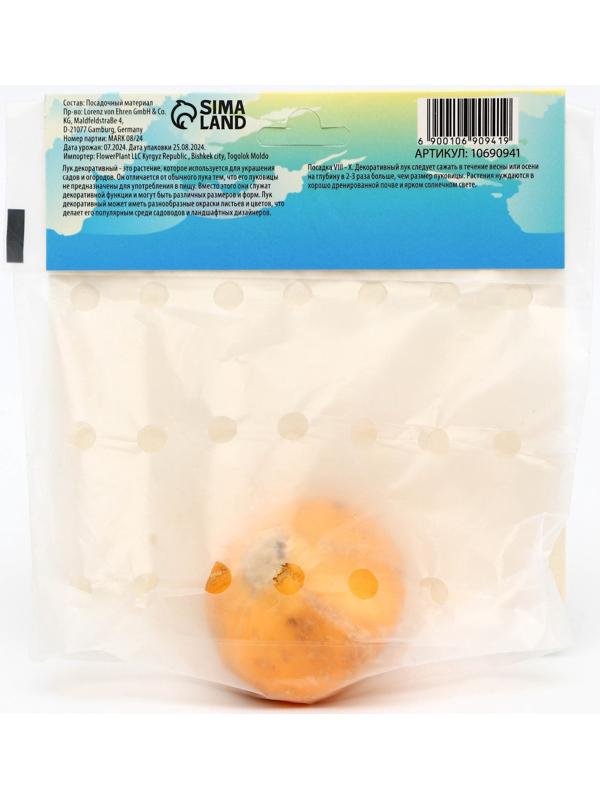 Аллиум лук декоративный Стебельчатый, р-р 20/22, 1 шт, Весна 2025