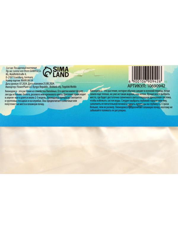 Хионодокса Форбса, р-р 5/+, 10 шт, Весна 2025