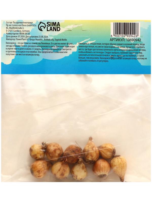 Хионодокса Форбса, р-р 5/+, 10 шт, Весна 2025