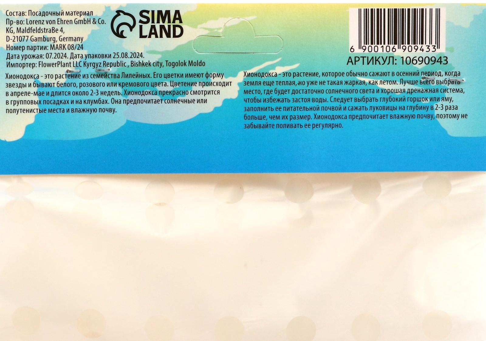 Хионодокса Роуз Квин, р-р 5/+, 10 шт, Весна 2025