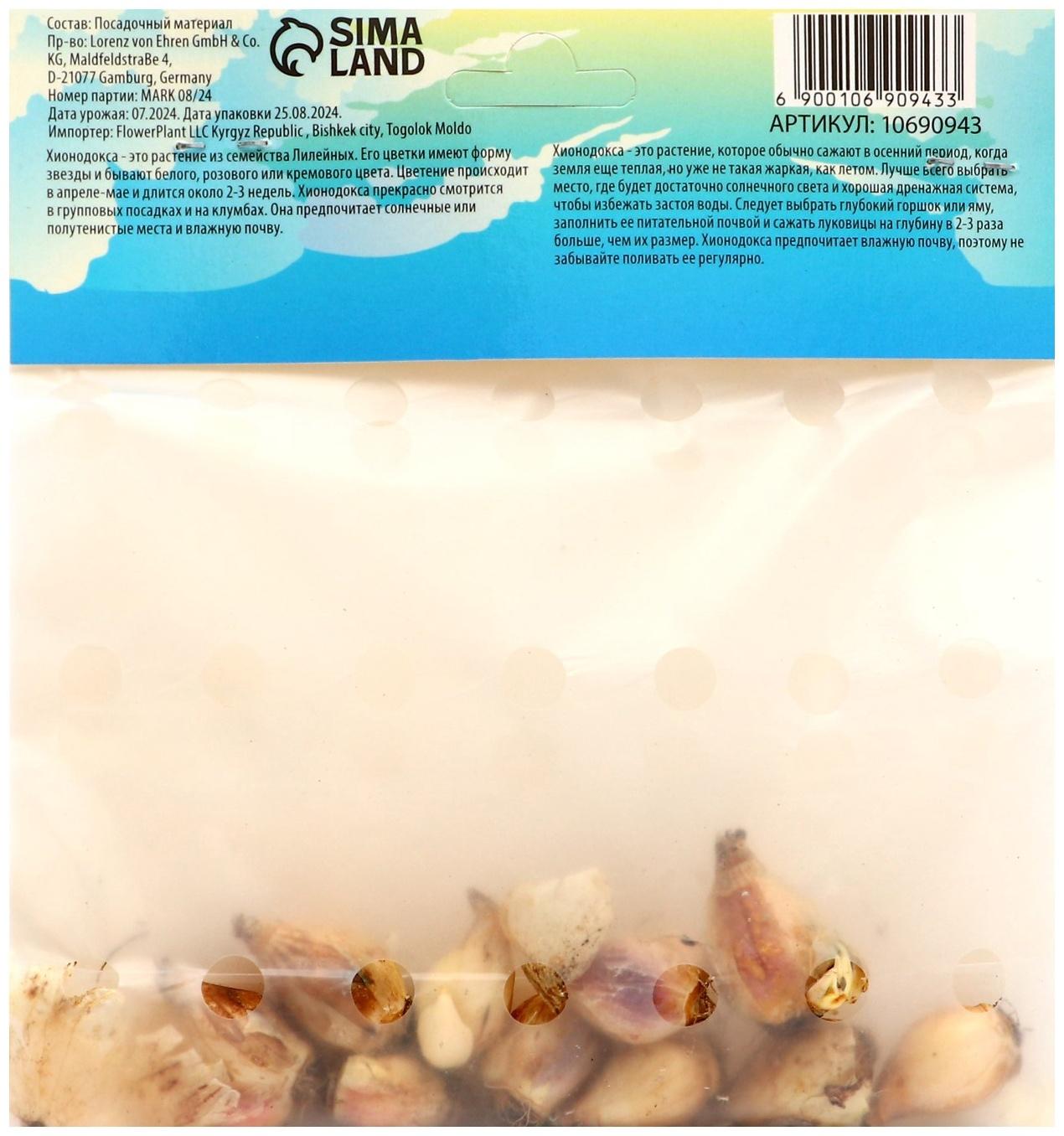 Хионодокса Роуз Квин, р-р 5/+, 10 шт, Весна 2025