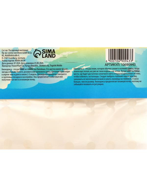 Хионодокса Роуз Квин, р-р 5/+, 10 шт, Весна 2025