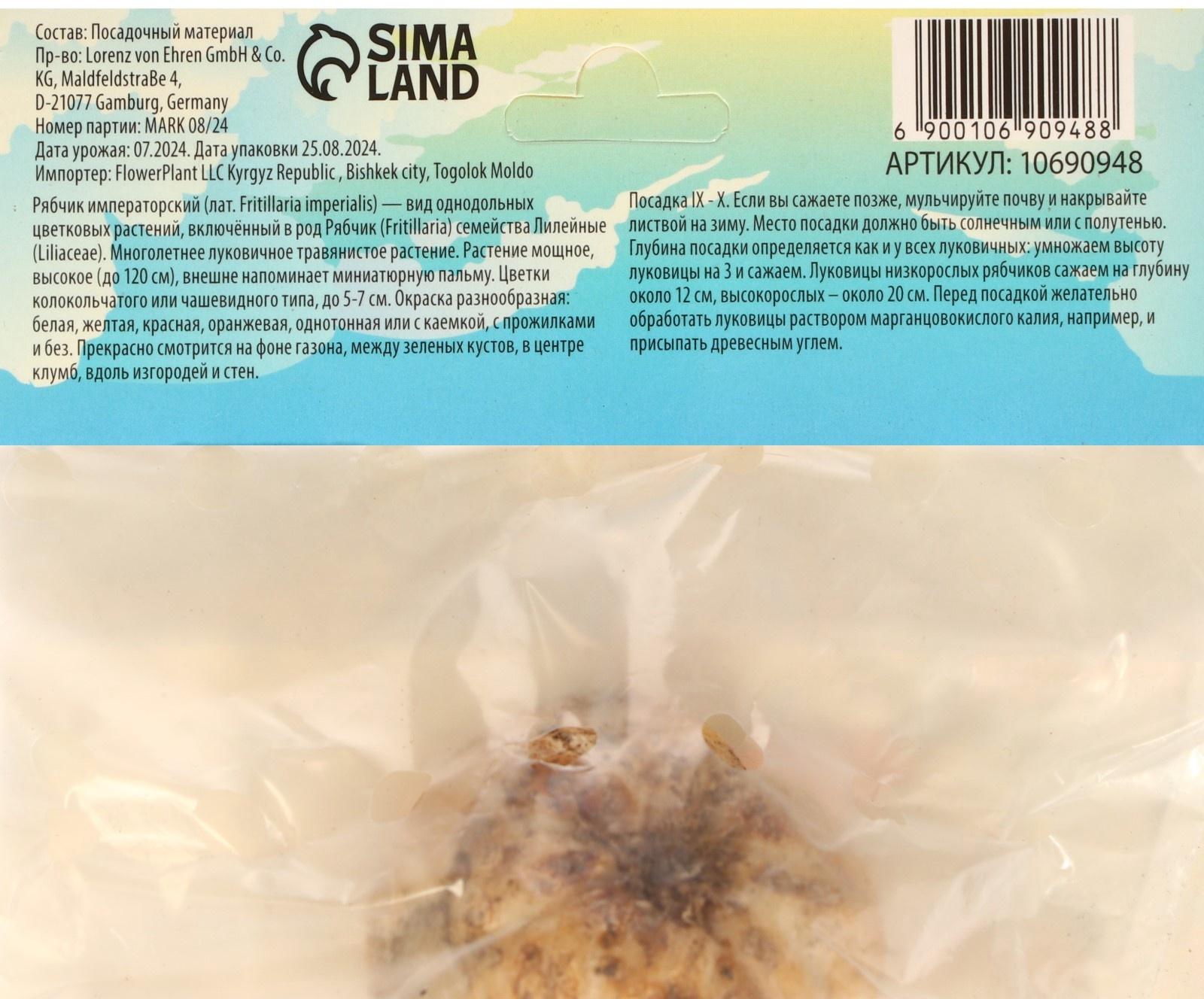 Рябчик императорский (Фритиллярия) Рубра, р-р 18/21, 1 шт, Весна 2025