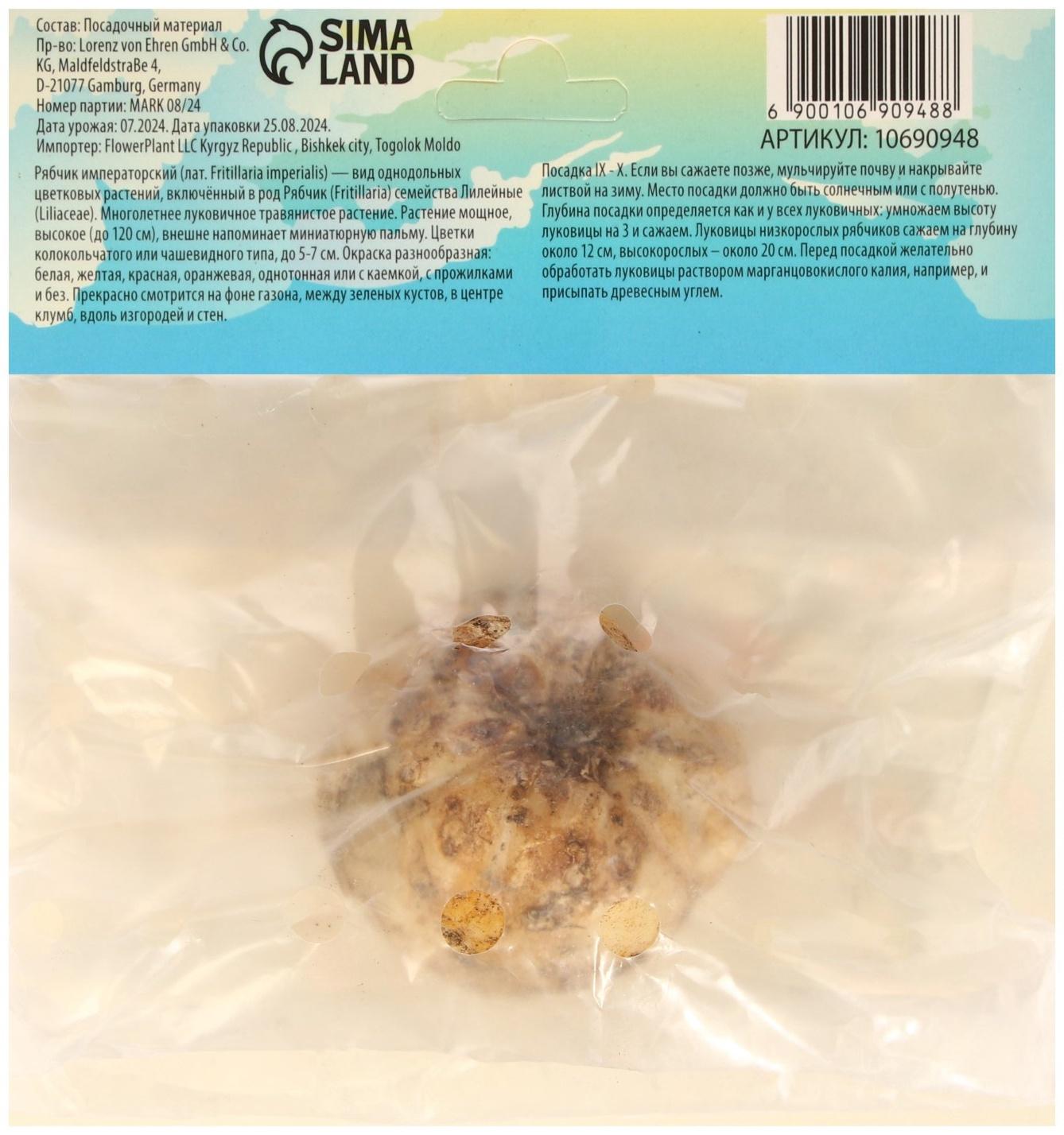 Рябчик императорский (Фритиллярия) Рубра, р-р 18/21, 1 шт, Весна 2025