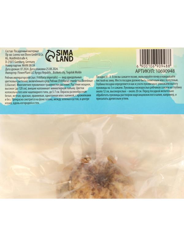 Рябчик императорский (Фритиллярия) Рубра, р-р 18/21, 1 шт, Весна 2025