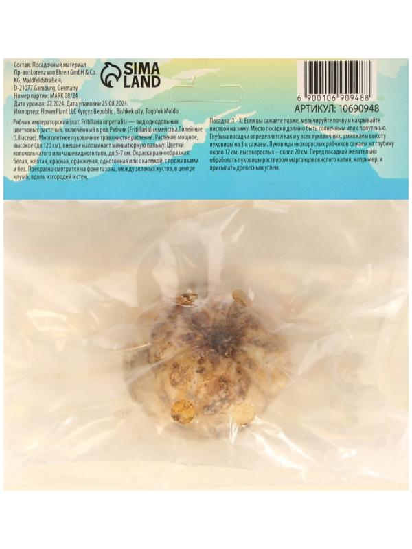 Рябчик императорский (Фритиллярия) Рубра, р-р 18/21, 1 шт, Весна 2025