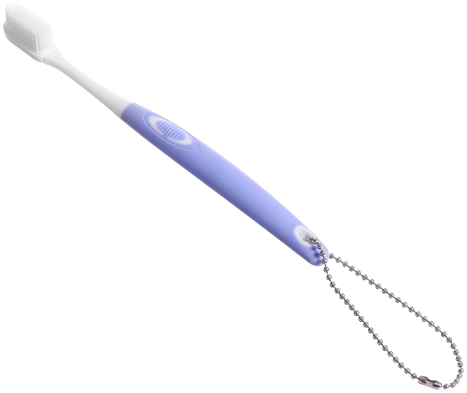 Игровой набор «Макет челюсти человека», 12 × 9 см, с щёткой, щётка цвета МИКС