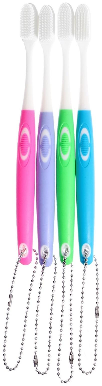 Игровой набор «Макет челюсти человека», 12 × 9 см, с щёткой, щётка цвета МИКС