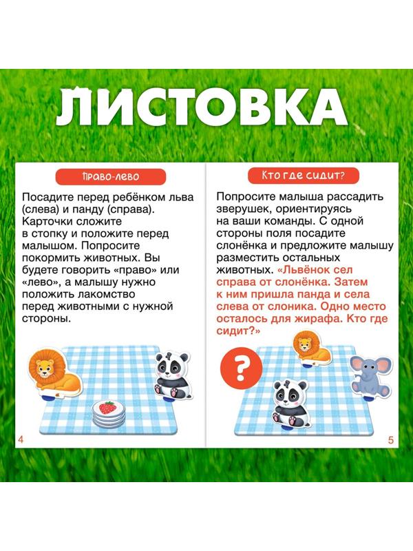 Развивающий набор «Всё по местам», 16 карточек, 10 заданий, 3+