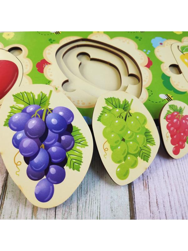 Вкладыш больше - меньше «Фрукты»