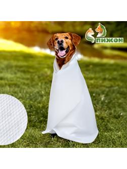 Полотенце для животных впитывающее, 60 х 130 см, 70 г/м² , одноразовое