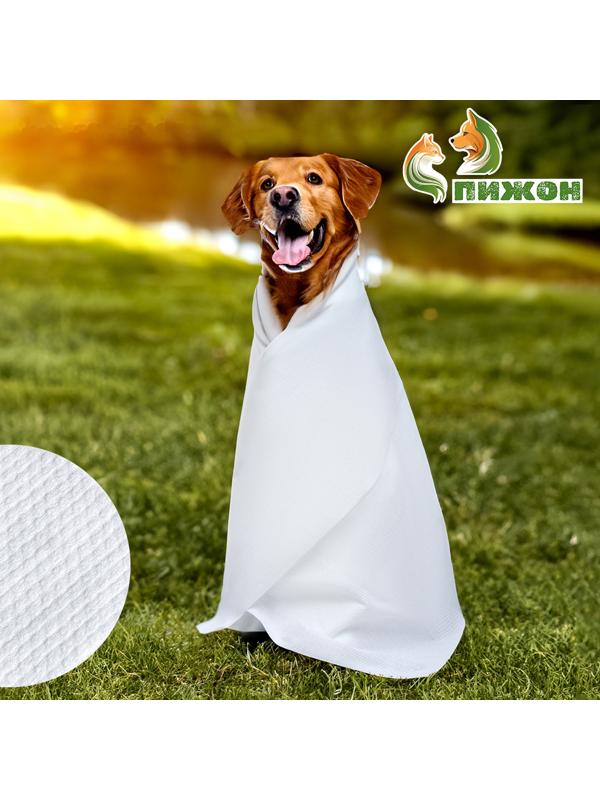 Полотенце для животных впитывающее, 60 х 130 см, 70 г/м² , одноразовое