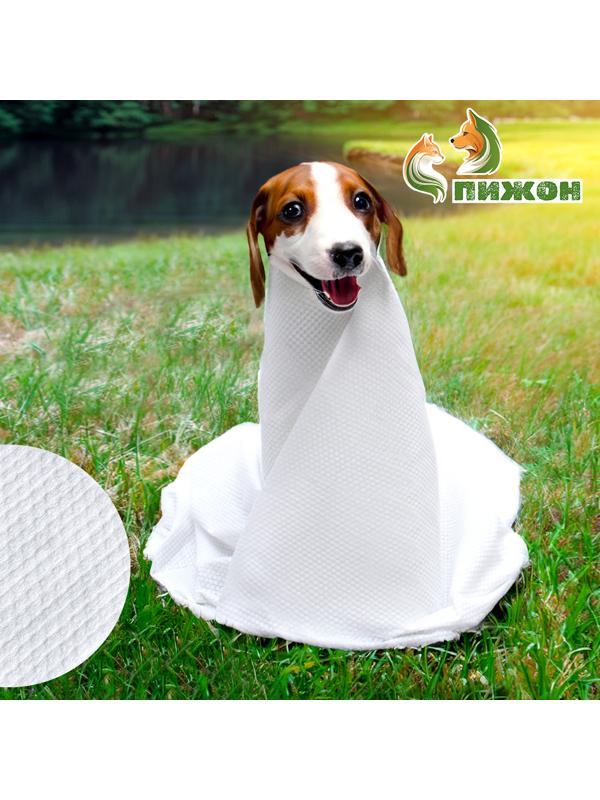 Полотенце для животных впитывающее, 60 х 80 см, 70 г/м² , одноразовое