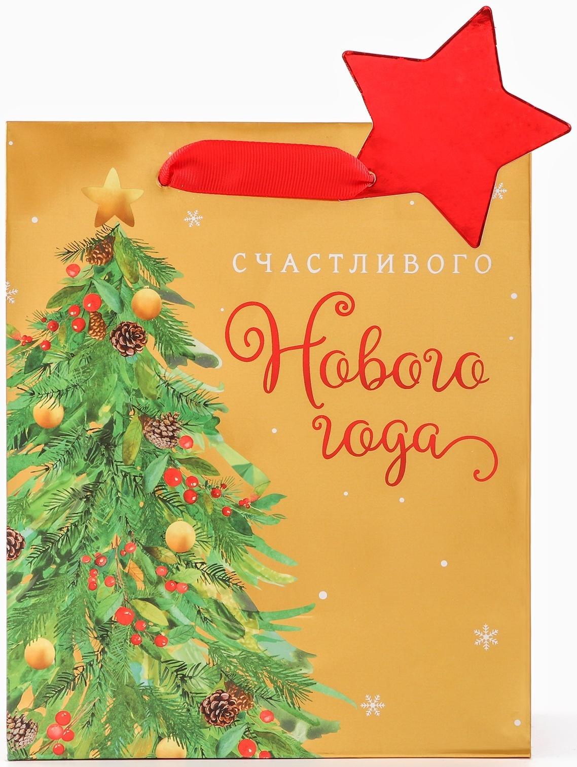 Пакет подарочный 