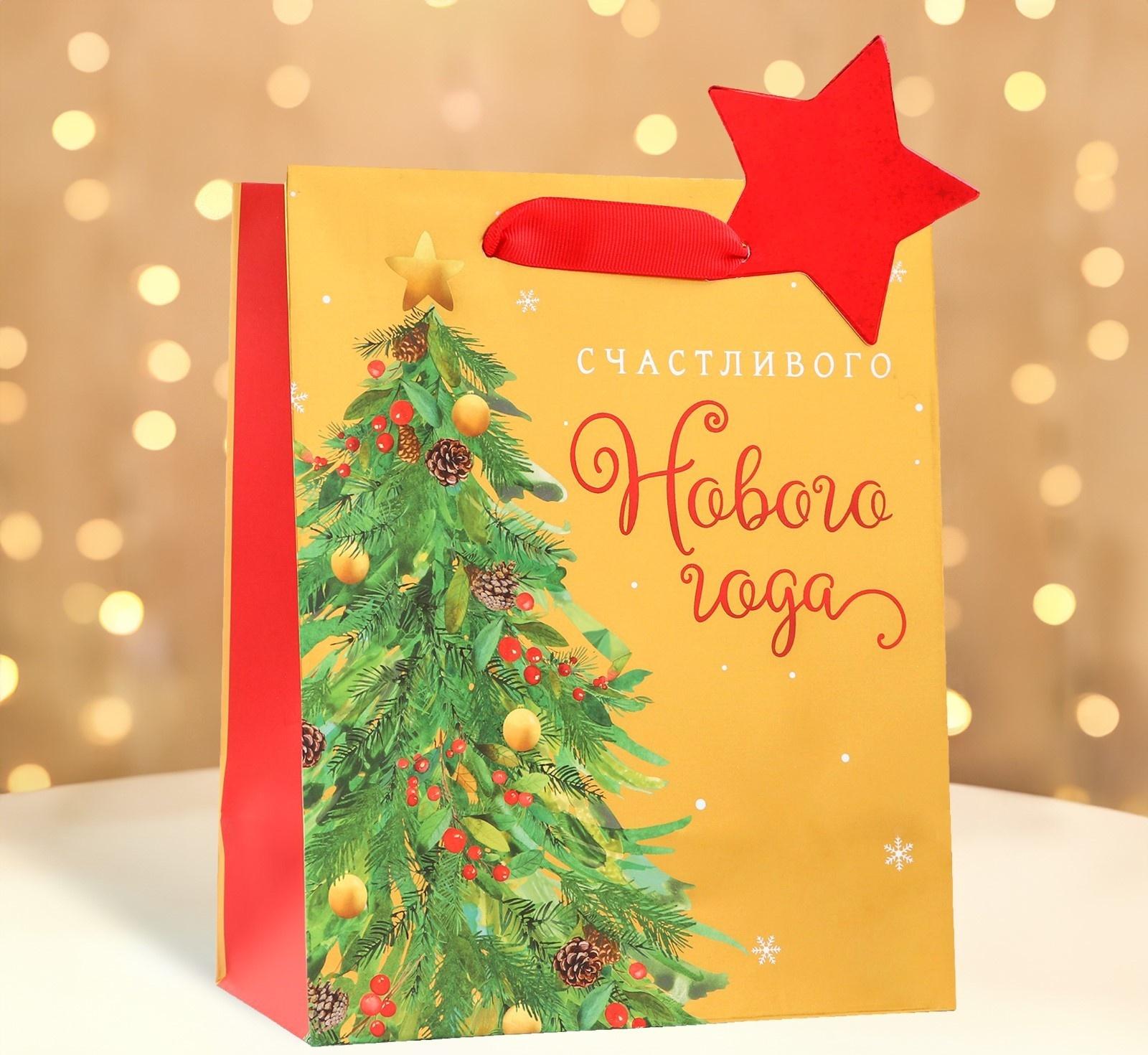 Пакет подарочный 