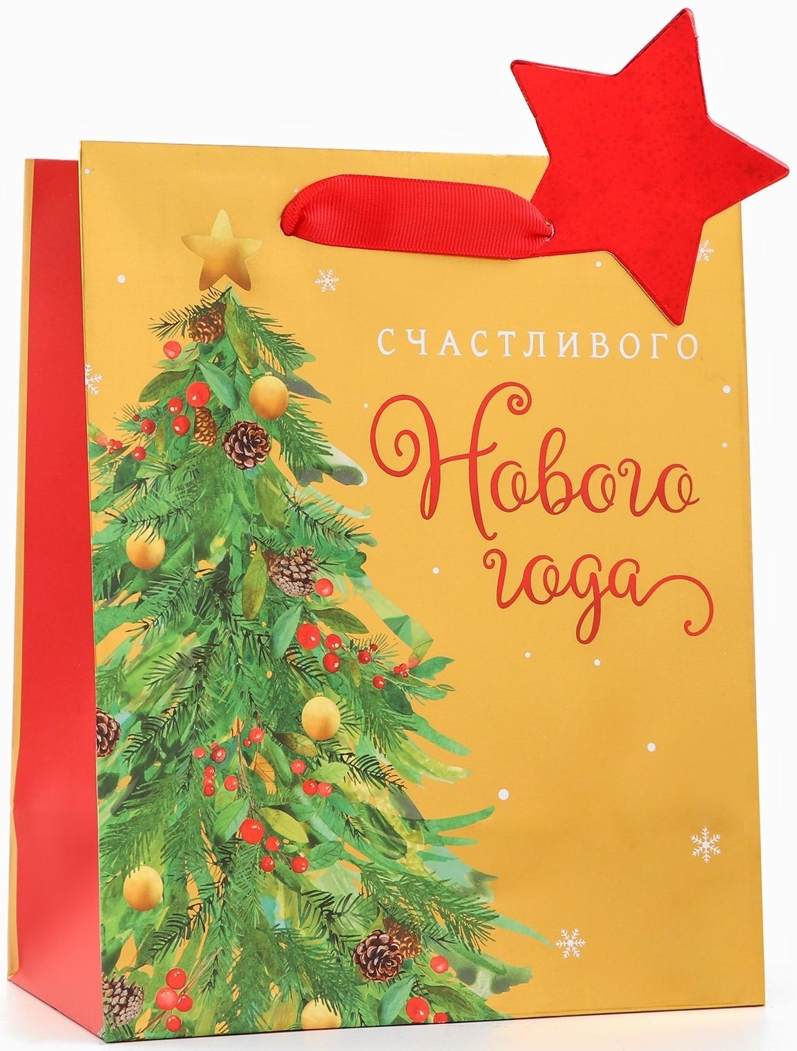 Пакет подарочный 