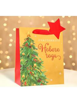 Пакет подарочный 