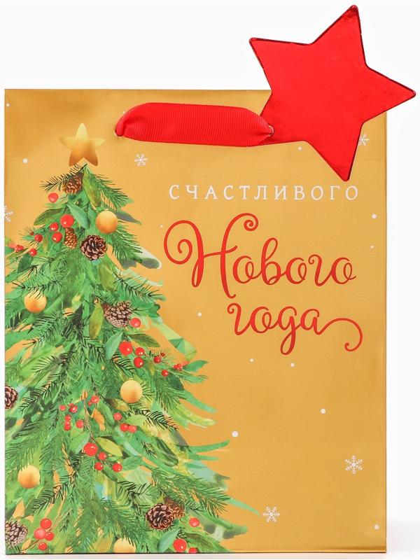 Пакет подарочный 