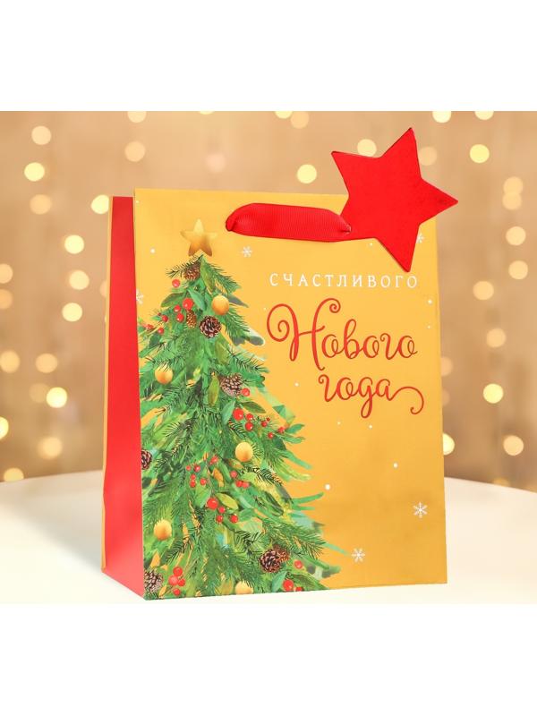 Пакет подарочный 