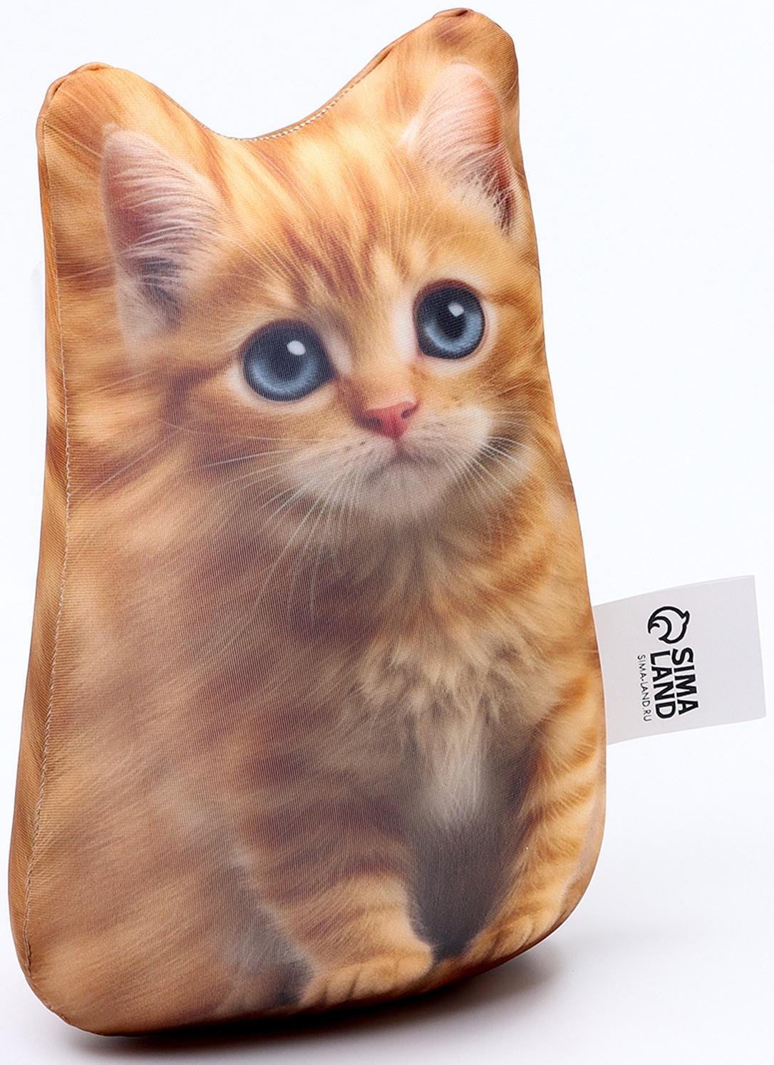 Антистресс игрушка «Котёнок рыжий»