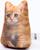 Антистресс игрушка «Котёнок рыжий»