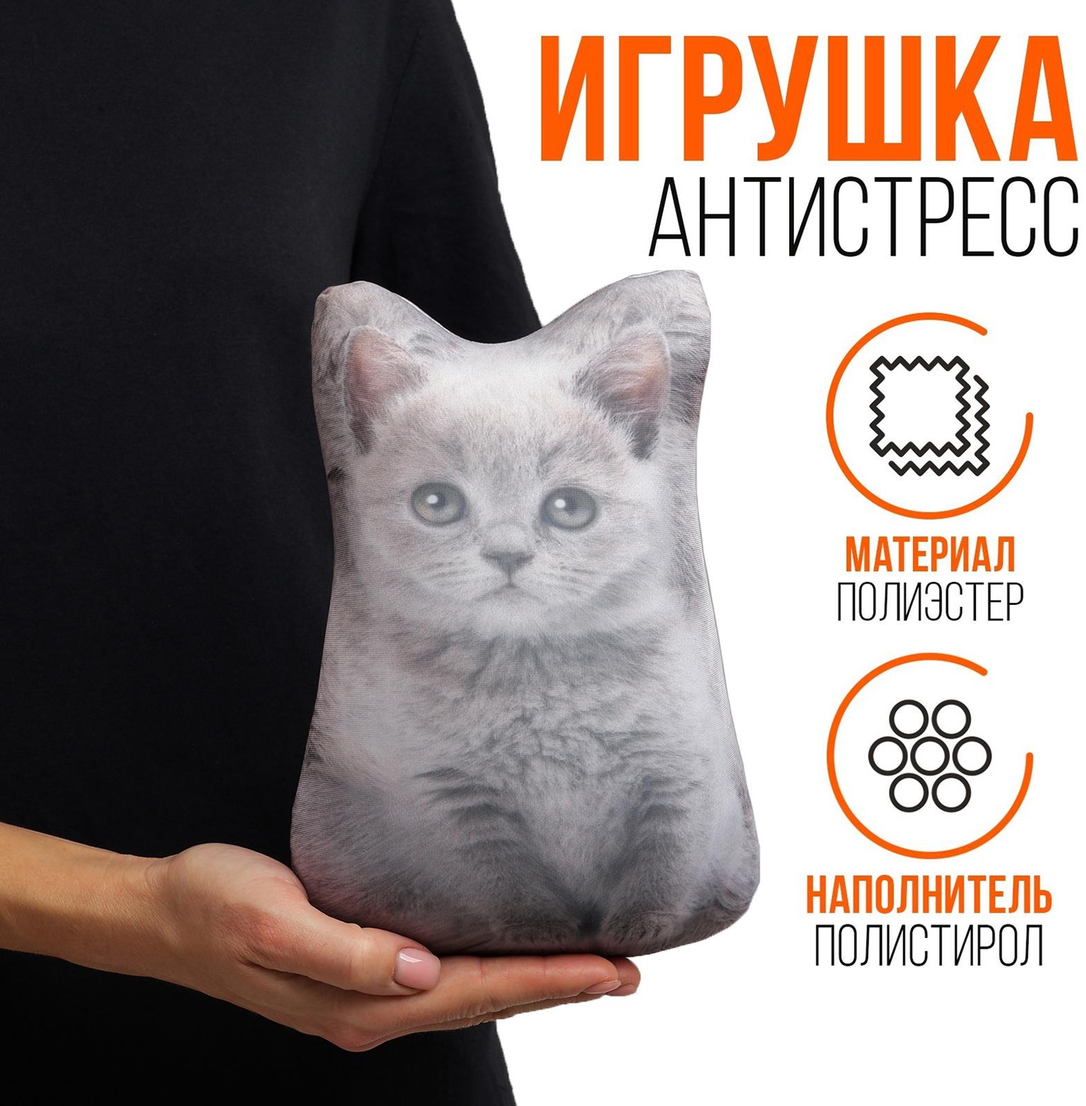 Антистресс игрушка «Котёнок серый»