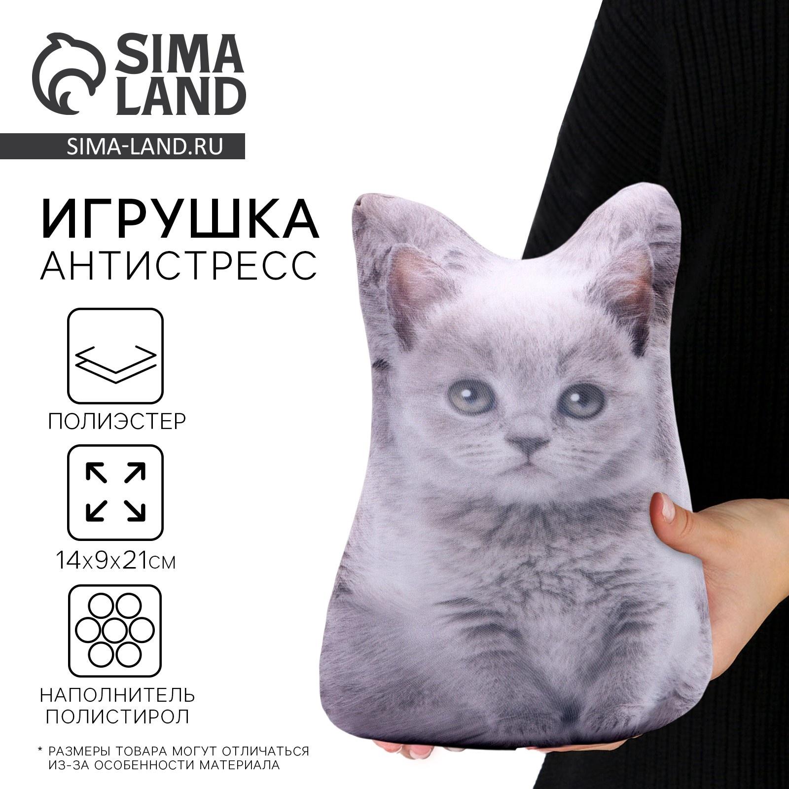 Антистресс игрушка «Котёнок серый»