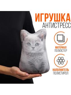 Антистресс игрушка «Котёнок серый»