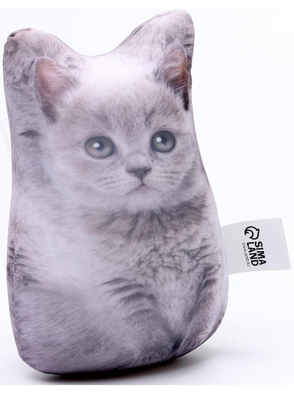 Антистресс игрушка «Котёнок серый»